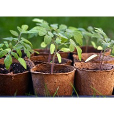 Bonnie Plants Asst. Veg. Peat Pot   5694056
